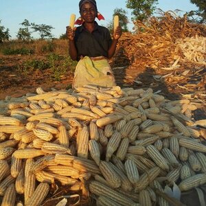 Stichting The Art of Charity image 2