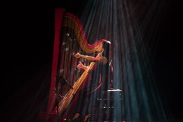 Zeewoldens Nieuwjaarsconcert door harpiste Lavinia Meijer