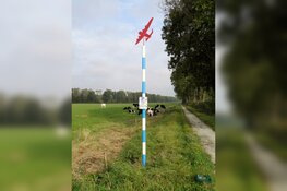 Tulpenroute Flevoland staat stil bij 75 jaar vrijheid