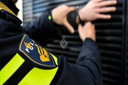 Politie zoekt getuigen van steekincident