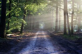 Een stukje natuur bij ouderen voor de deur