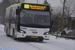 Winterse zondag in beeld