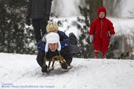Winterse zondag in beeld