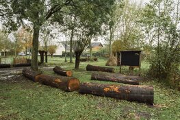 Flevoland bundelt krachten voor groene en gezonde schoolpleinen