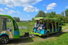 Ga mee op de wildsafari in het Horsterwold