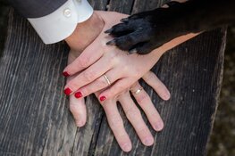 Je hond op je bruiloft?