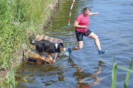 Dogsurvival Zeewolde – Zaterdag 2 juli: Samen met je hond klimmen, kruipen en zwemmen
