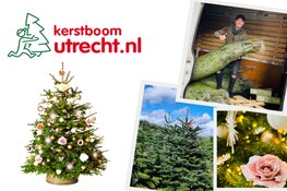Op zoek naar een echte kerstboom in Utrecht? Natuurlijk bij Kerstboom Utrecht