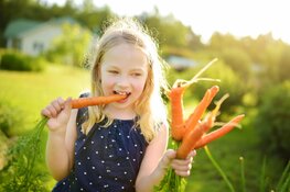 Zo'n 650 schoolkinderen in Flevoland doen mee met tweede 'Week van de Schooltuin