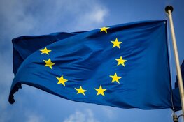 Scholieren krijgen uitleg over hoe het Europees Parlement werkt