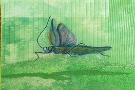 Beeldende kunst en muziek tijdens Open Deuren: Tijd voor Kunst