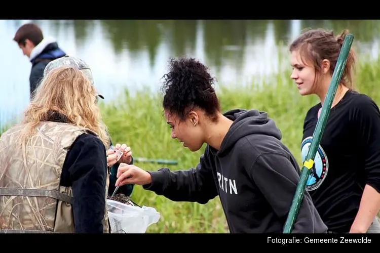 Ontdek de natuur tijdens de BioBlitz!