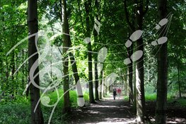 Muziekwandeling door het Horsterwold