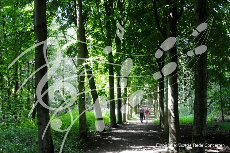 Muziekwandeling door het Horsterwold