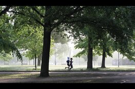 Flevoland enige provincie met stijging: toch voldoet minder dan de helft aan beweegrichtlijn