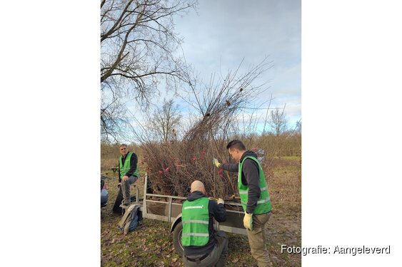 Help Meer Bomen Nu Flevoland met het redden van jonge bomen en struiken
