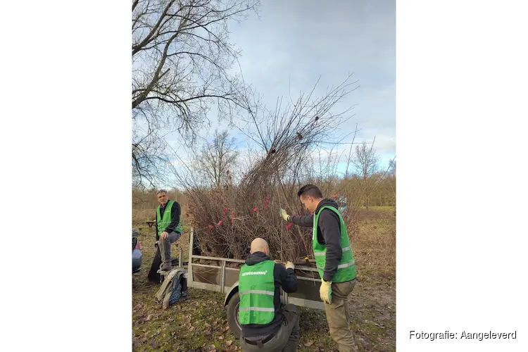 Help Meer Bomen Nu Flevoland met het redden van jonge bomen en struiken