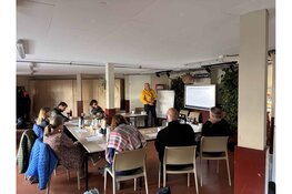 Van hoornaarnest op ongewenste plek naar wespvriendelijke oplossing