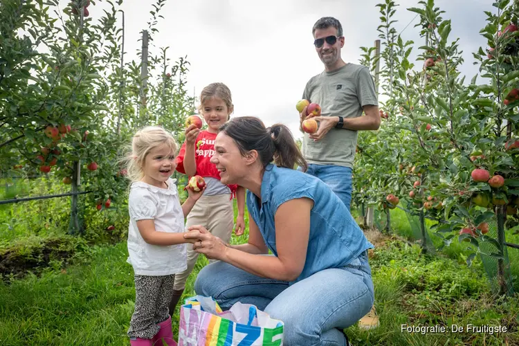 Flevolandse fruittelers openen hun boomgaard: geniet van de oogst van dichtbij