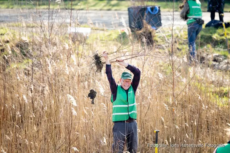Oogst driedaagse Meer Bomen Nu: Help jij mee?